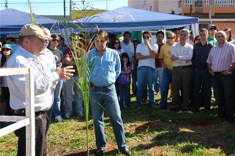 Autoridades presentes