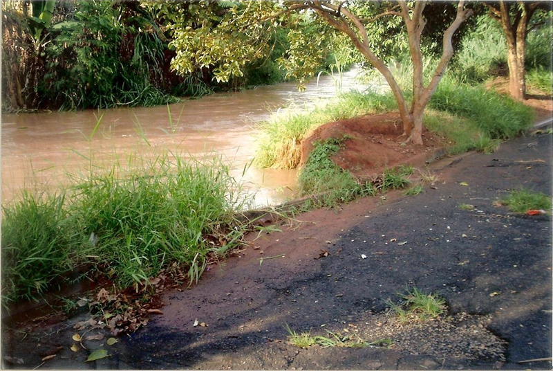 Águas das chuvas e correnteza provocam erosão e elevam leito do rio