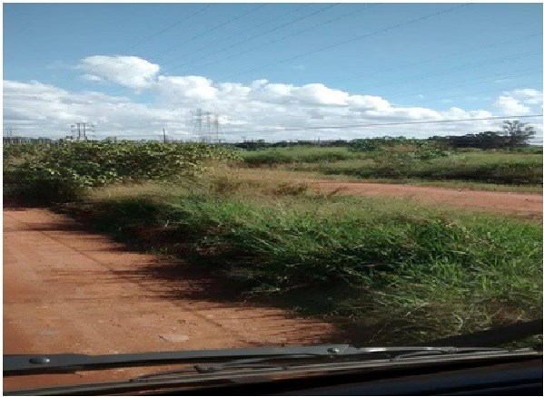 Fiação baixa em estrada rural tem preocupado munícipes