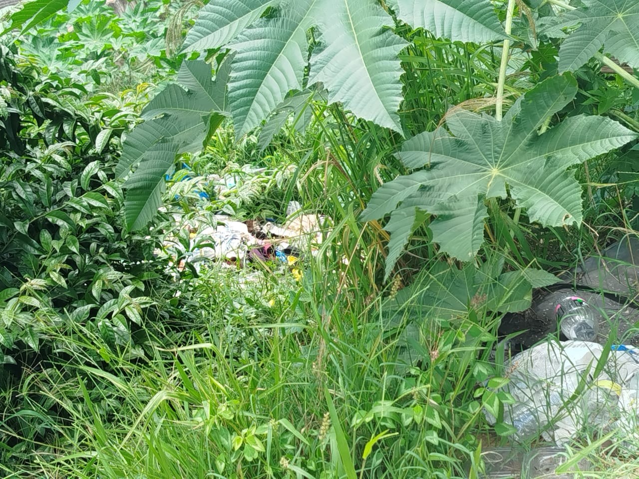 Vereador reivindica serviços de manutenção em viela do Parque Zabani