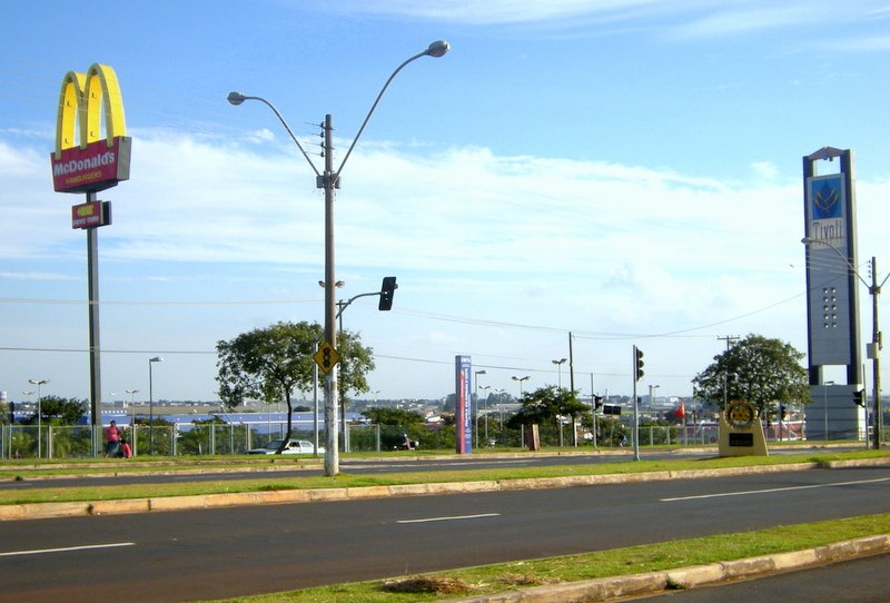Pinguim pede ponto de ônibus na Zona Leste com destino a Piracicaba.