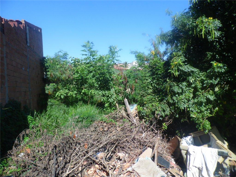 Antes da limpeza, local apresentava mato alto e acúmulo de lixo