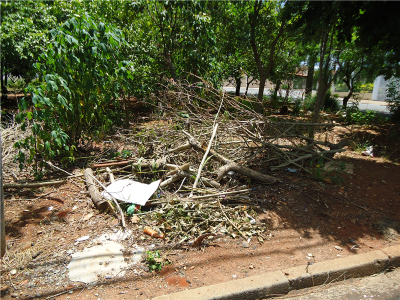 Moradores reclamam do mato e do acúmulo de entulho no local