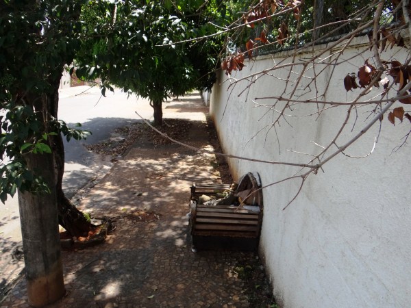 Abandono das escolas ocorre em espaços internos e entornos