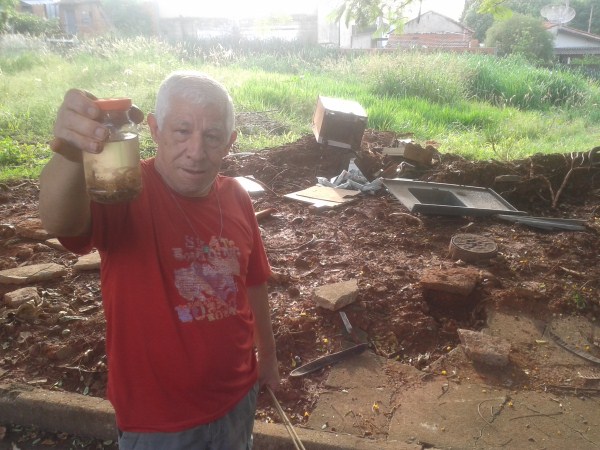 Após capturarem escorpiões, moradores pedem limpeza de área 