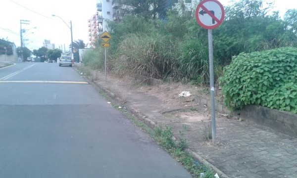 Joi apela por roçagem e limpeza no Centro.