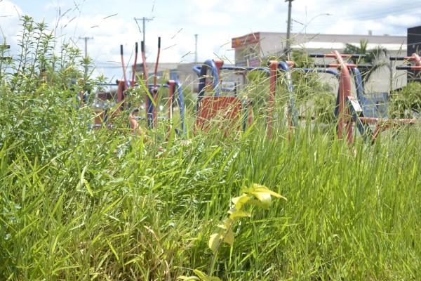 Em praça do Dona Regina, mato alto impede utilização