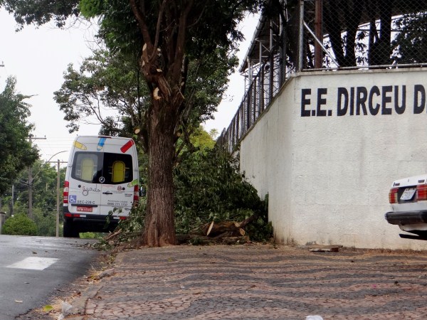 Poda de galhos também facilita a passagem nessa calçada