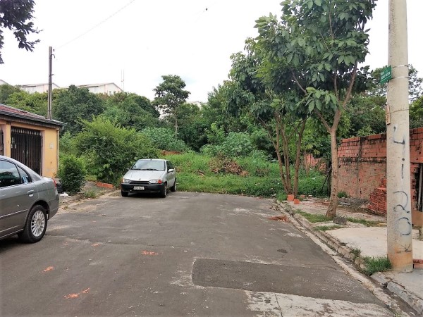 Kadu pede manutenção em terreno na rua João Rossi.