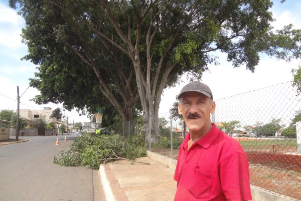 Poda é realizada a pedido de Pereira.