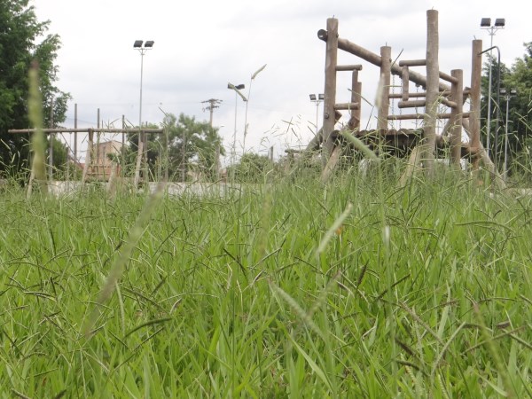Mato alto em praça do Santa Rita tem afastado crianças
