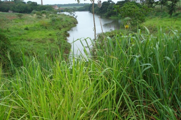 Projeto beneficia produtores que preservarem mananciais