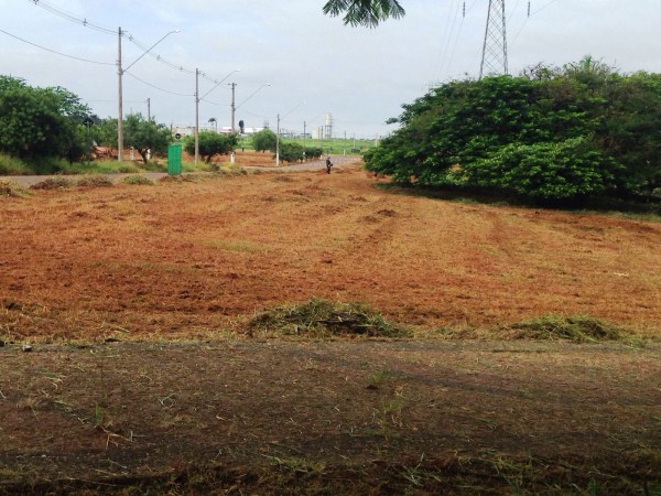 Bebeto sugere manutenção constante em áreas do bairro
