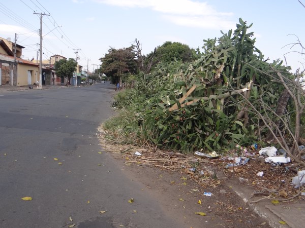 Kadu pede limpeza de área no Santa Rita