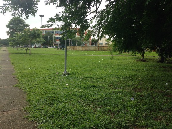 Equipe esteve no local, apesar de área já estar roçada
