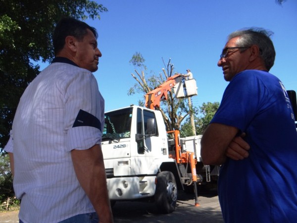 Poda de árvores foi promovida hoje (30) pela Prefeitura
