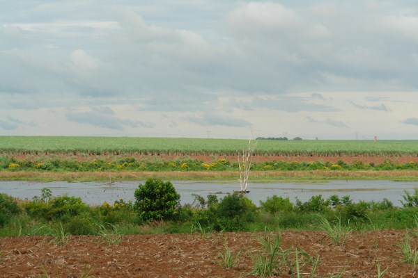 Joi quer ampliação de represas entre São Luís e Areia Branca