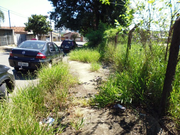 Pais de alunos cobram limpeza e poda de árvores nessas áreas